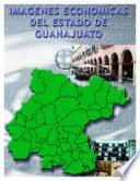 libro Imágenes Económicas Del Estado De Guanajuato
